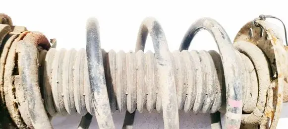 Seat Toledo III (5P) Front coil spring 