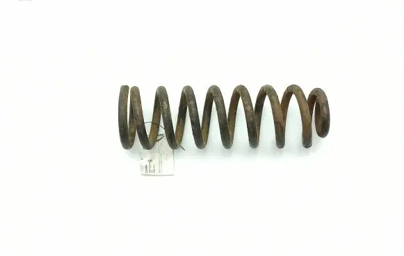 Cadillac SRX Rear coil spring 1035652