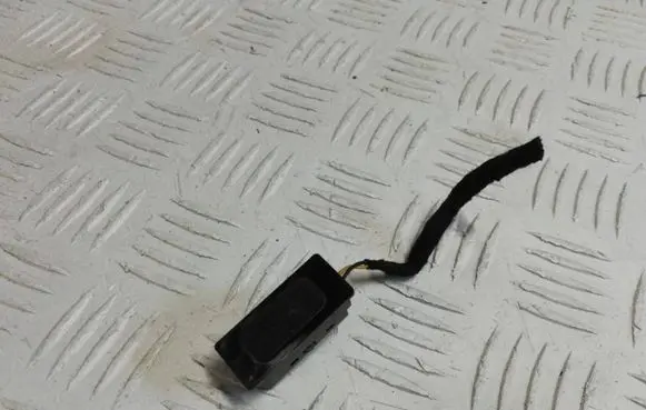Mini Cooper Countryman R60 Microphone (bluetooth/phone) 1383851
