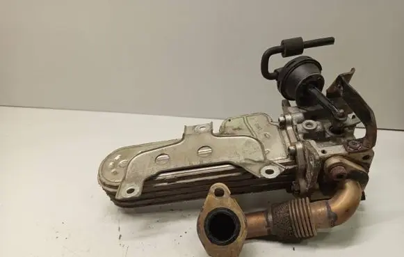 Skoda Octavia Mk2 (1Z) EGR valve cooler 038131513AD