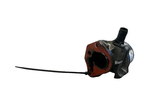 Nissan Juke I F15 Vacuum pump 7006730303 13T036 8201005306