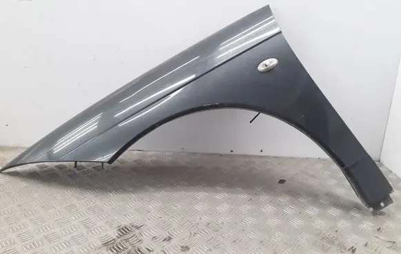 Citroen C6 Fender