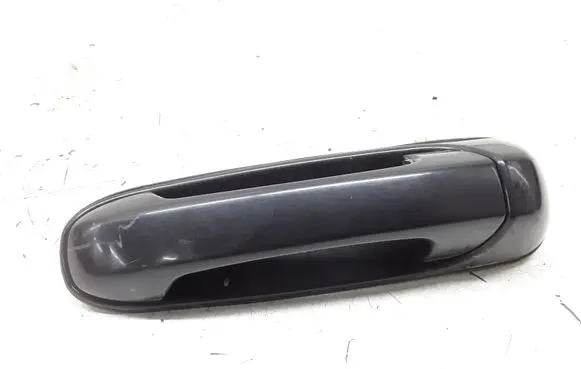 Jeep Grand Cherokee (WJ) Rear door exterior handle 5FW47TRMAB
