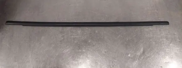 Ford Focus Rubber seal front coupe door window 