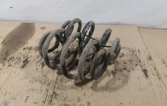 Volkswagen Sharan Rear coil spring
