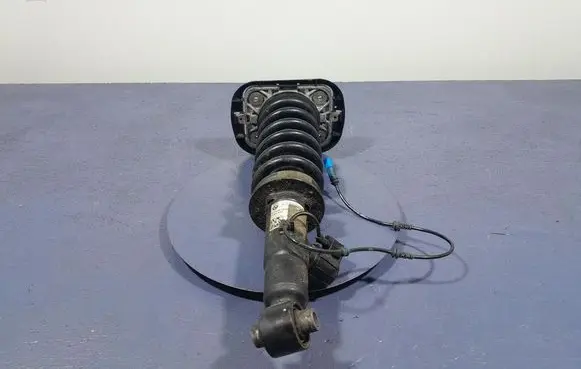 BMW X5 E53 Rear shock absorber/damper 6896441