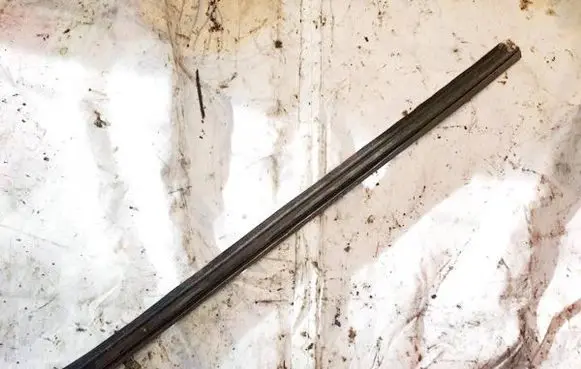 Citroen Xsara Picasso Front door glass trim molding 9645353580
