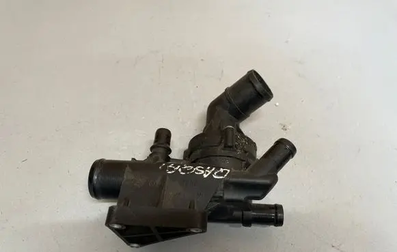 Thermostat/thermostat housing