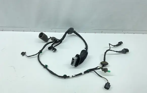Bentley Flying Spur Front door wiring loom 3w5971121b