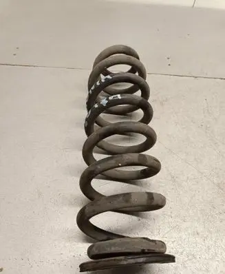 Rear coil spring