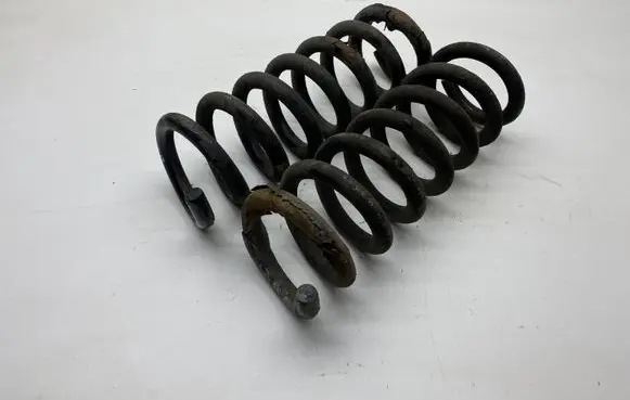 Rear coil spring