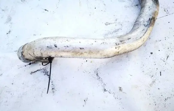 Mitsubishi Space Star Intercooler hose/pipe 30617344