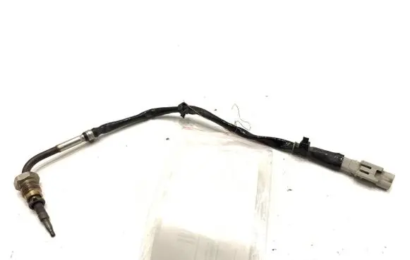Hyundai Kona I Exhaust gas temperature sensor 39260-2M450