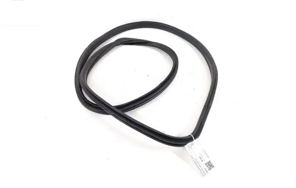 Mini Clubman F54 Front door rubber seal 7344159