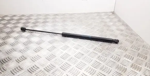 Tailgate/trunk strut/damper