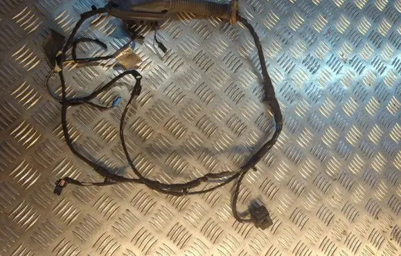 BMW 3 E90 E91 Front door wiring loom 6938220