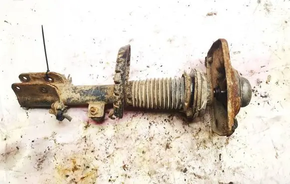 Citroen Jumpy Front shock absorber/damper 1400567780 824904002162