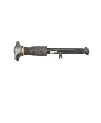 BMW 4 G22 G23 G24 G26 Rear shock absorber/damper 6879396 33526879396