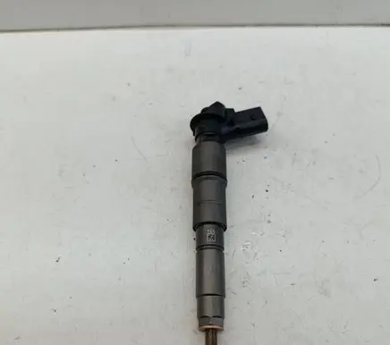 BMW X5 E70 Fuel injector 7808089