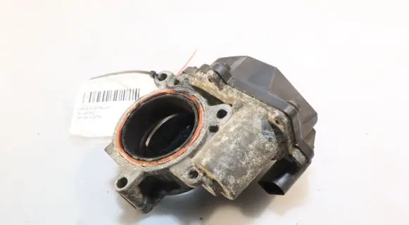 Throttle body valve
