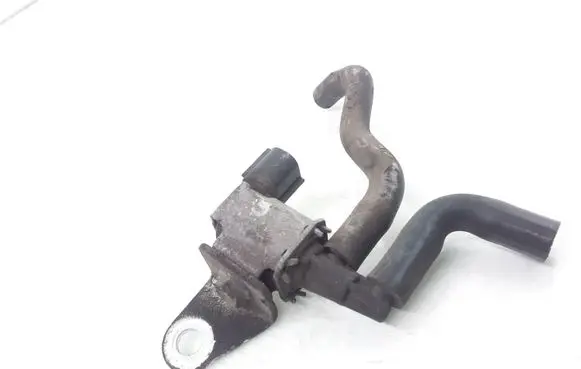 Vacuum valve