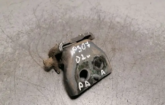 Peugeot 307 Front door lower hinge 