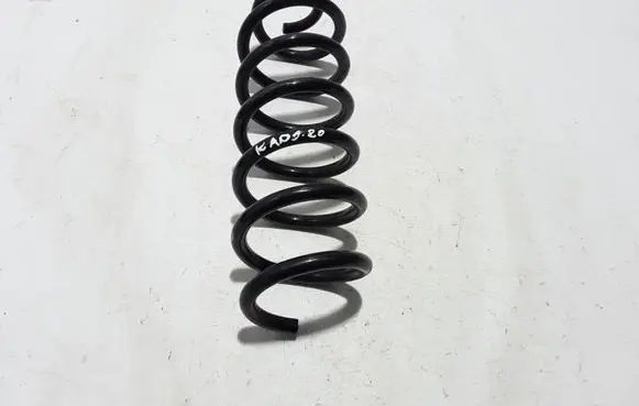 Renault Kadjar Rear coil spring 55020HV60B
