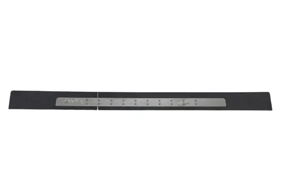 Renault Megane II Front sill trim cover