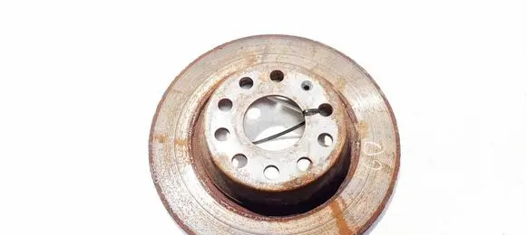 Volkswagen PASSAT B6 Rear brake disc neventiliuojamas