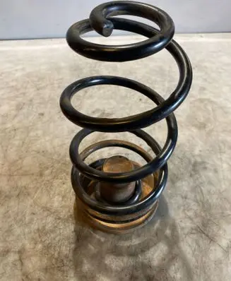 Rear coil spring