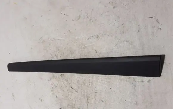 Renault Kangoo II Rear door trim (molding) 8200439115
