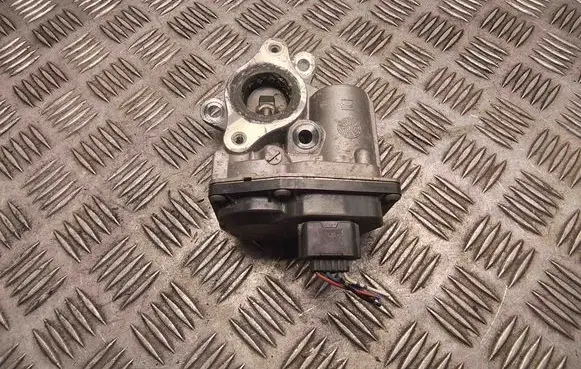 EGR valve
