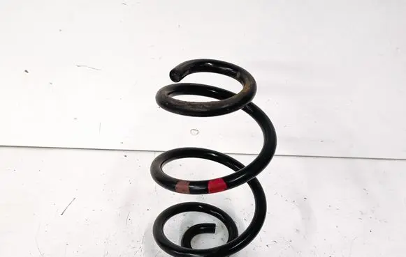 Rear coil spring