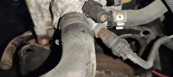 Fiat Panda II Engine coolant pipe/hose