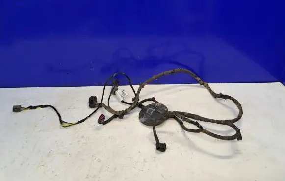 Volvo S80 Other wiring loom 31314091