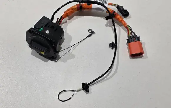 MG EHS Electric car charge socket 10562613