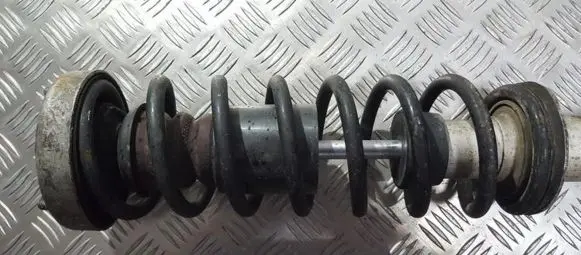 Rear coil spring