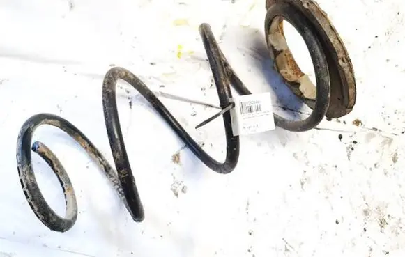 Chrysler Grand Voyager IV Rear coil spring