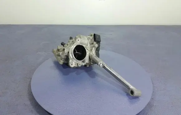 Throttle body valve