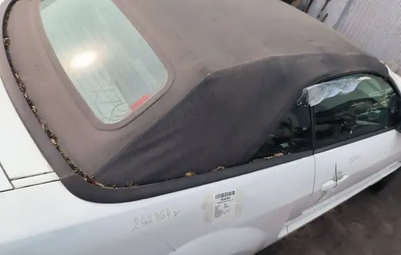 Ford Mustang V Roof 