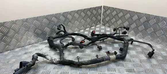 Chrysler Grand Voyager V Engine installation wiring loom P68066256AB