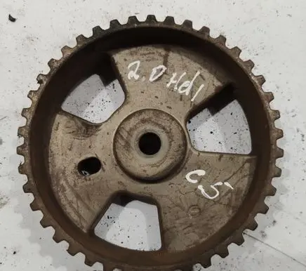 Citroen C5 Crankshaft gear 