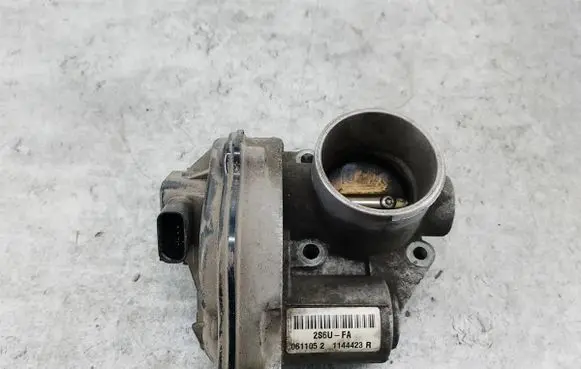 Throttle body valve