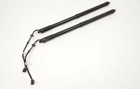 Tailgate/trunk strut/damper