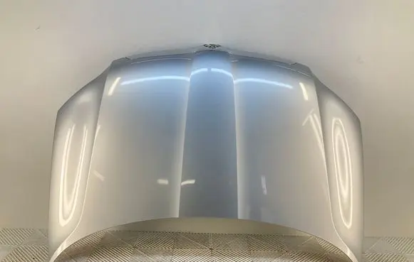 Engine bonnet/hood