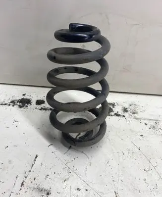 Rear coil spring