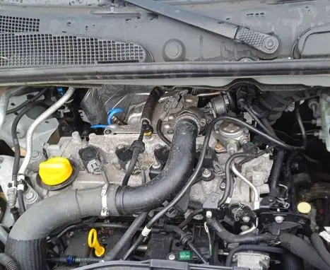 Renault Kangoo II Engine