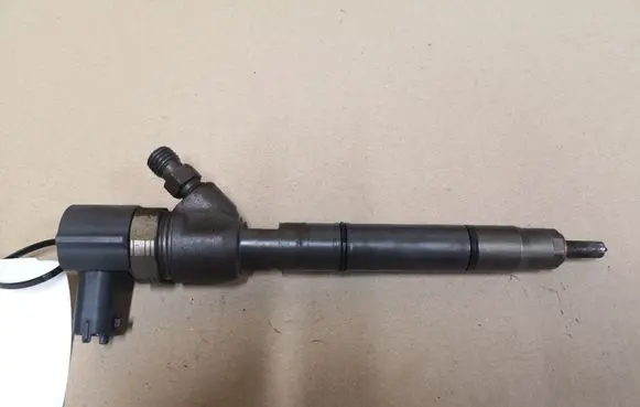 Hyundai i20 (PB PBT) Fuel injector 0445110320