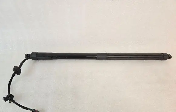 Tailgate/trunk strut/damper