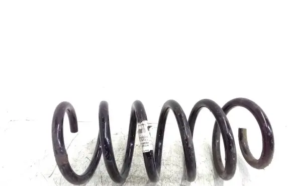 Front coil spring